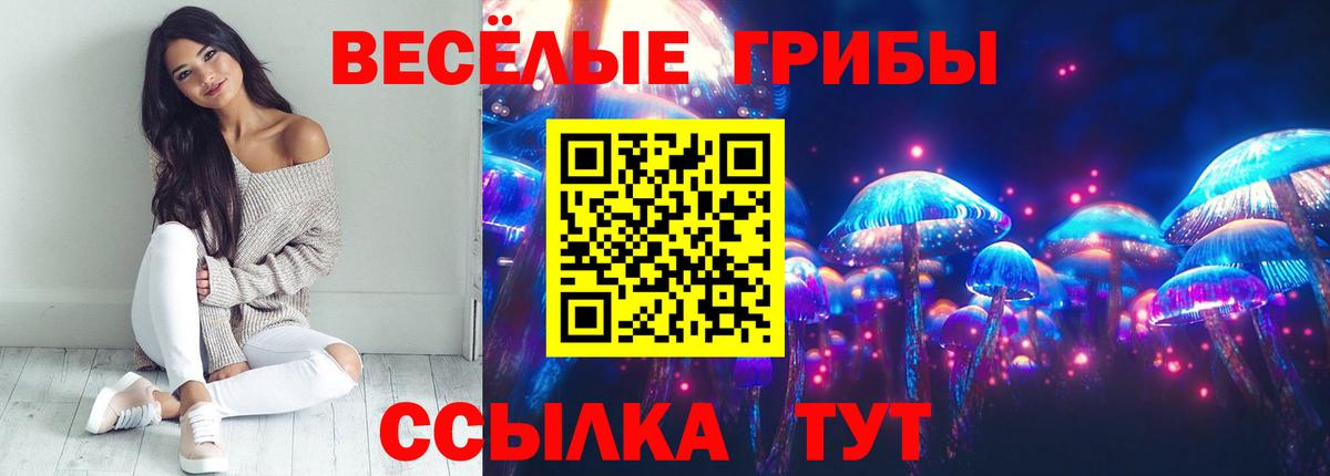 купить наркотики цена  Вход с VPN  Ишим  Галлюциногенные грибы ЛСД  Галлюциногенные грибы GOLDEN TEACHER 